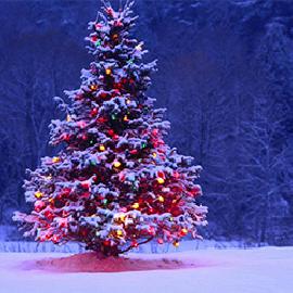 Christmas
