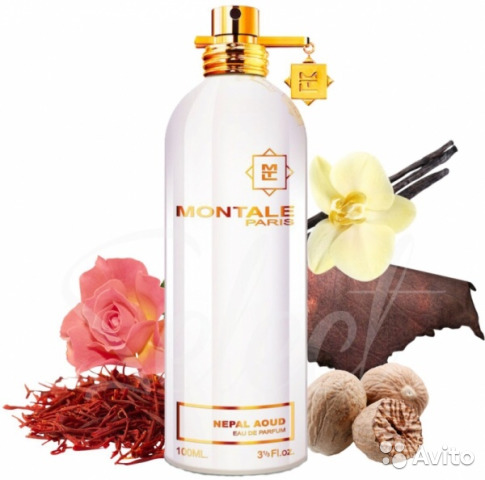 montale nepal aoud