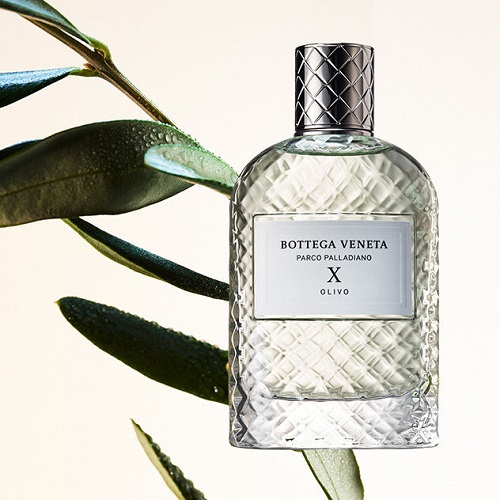 parco palladiano x eau de parfum,Limited Time Offer,slabrealty.com