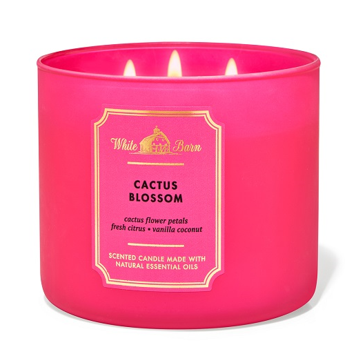 CACTUS BLOSSOM CANDLE