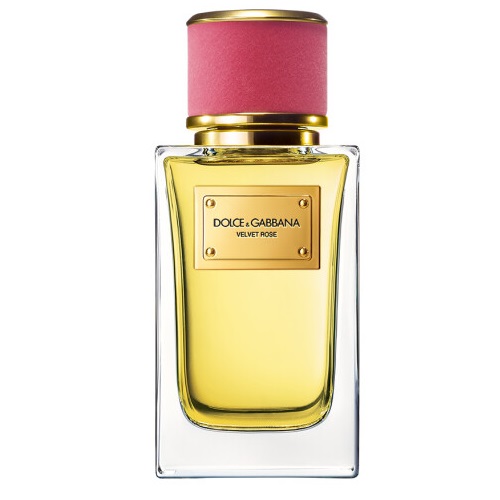 VELVET ROSE