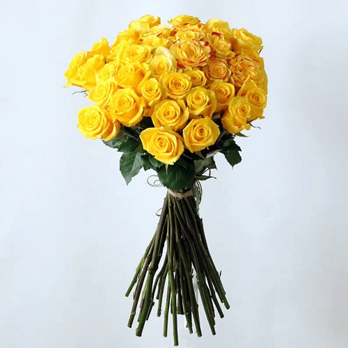 35 YELLOW ROSES STEMS