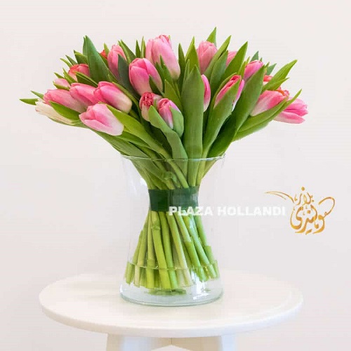 50 PINK TULIPS